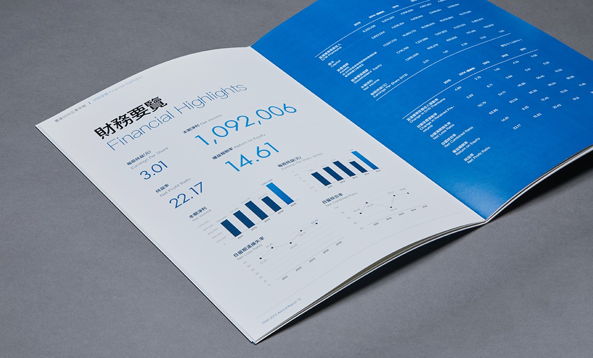 Annual Report Design for Public Company in Asia