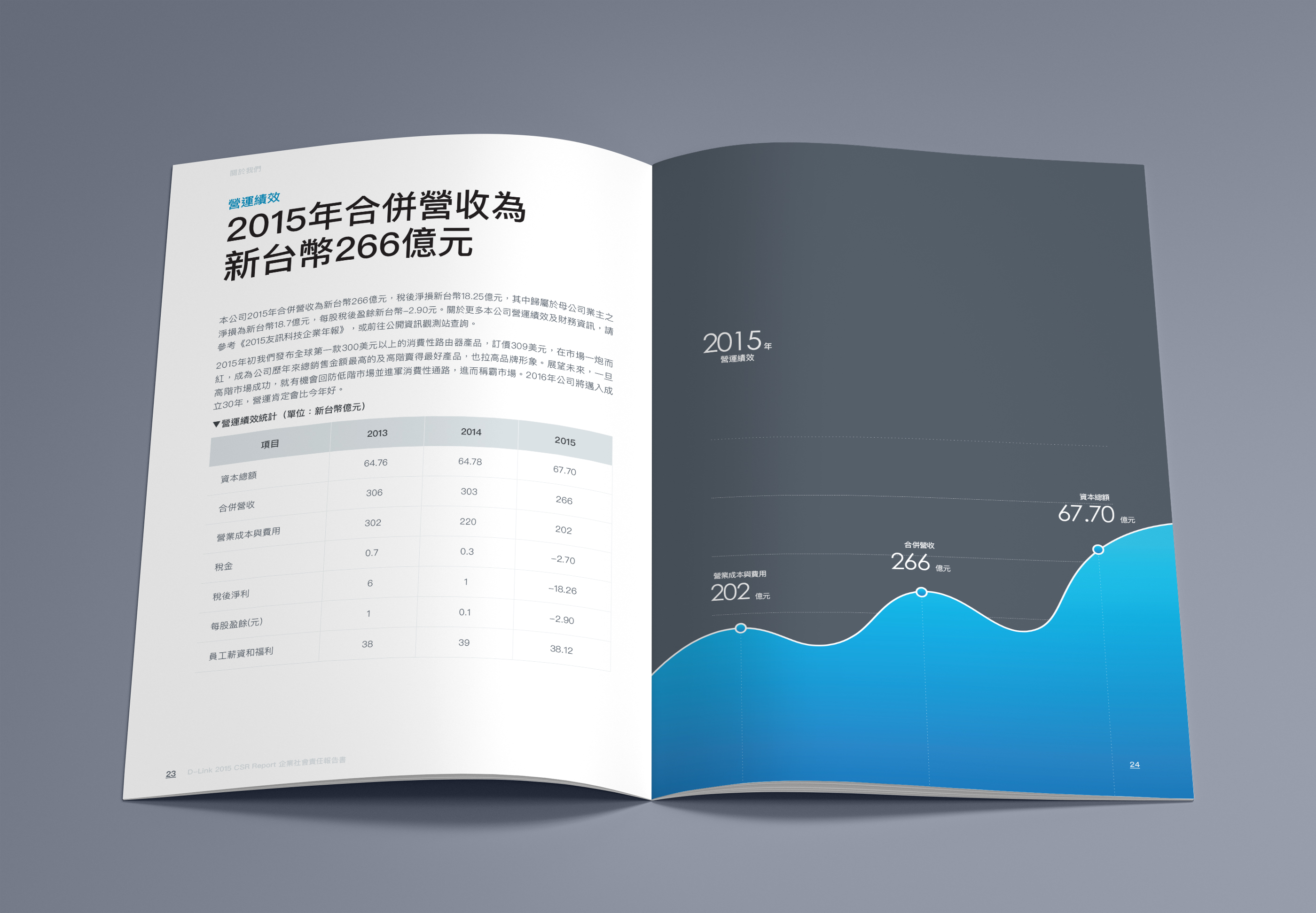 ESG Report Design for Public Company in Asia