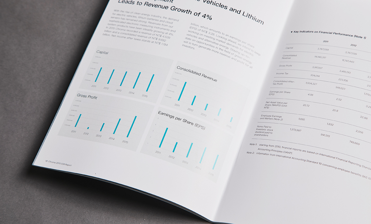 ESG Report Design for Public Company in Asia