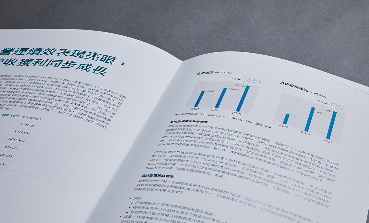 ESG Report Design for Public Company in Asia