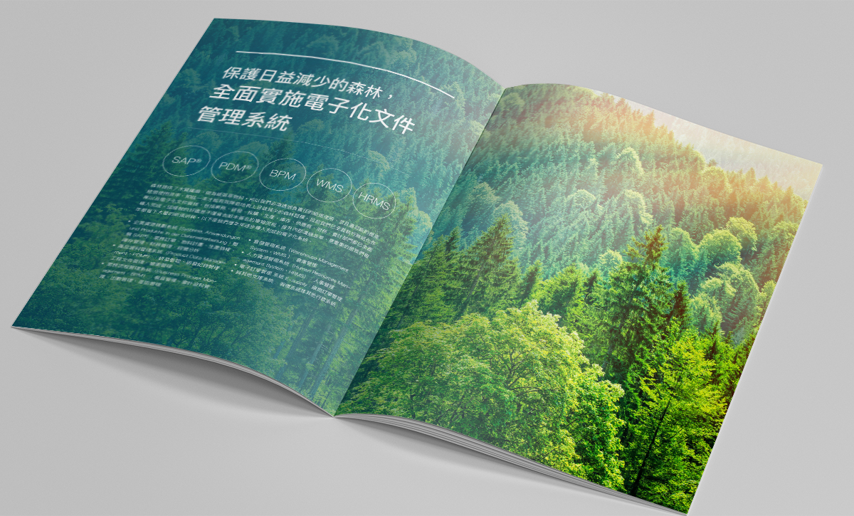 ESG Report Design for Public Company in Asia