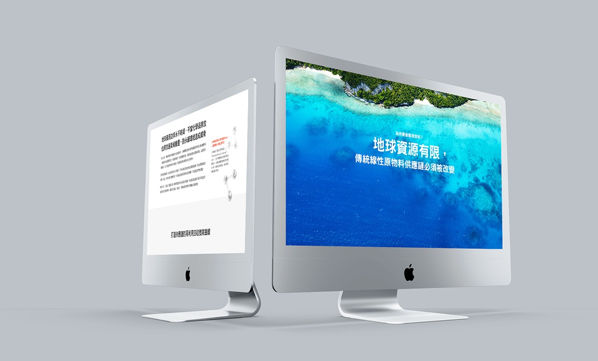 Website Design for Public Company in Asia
