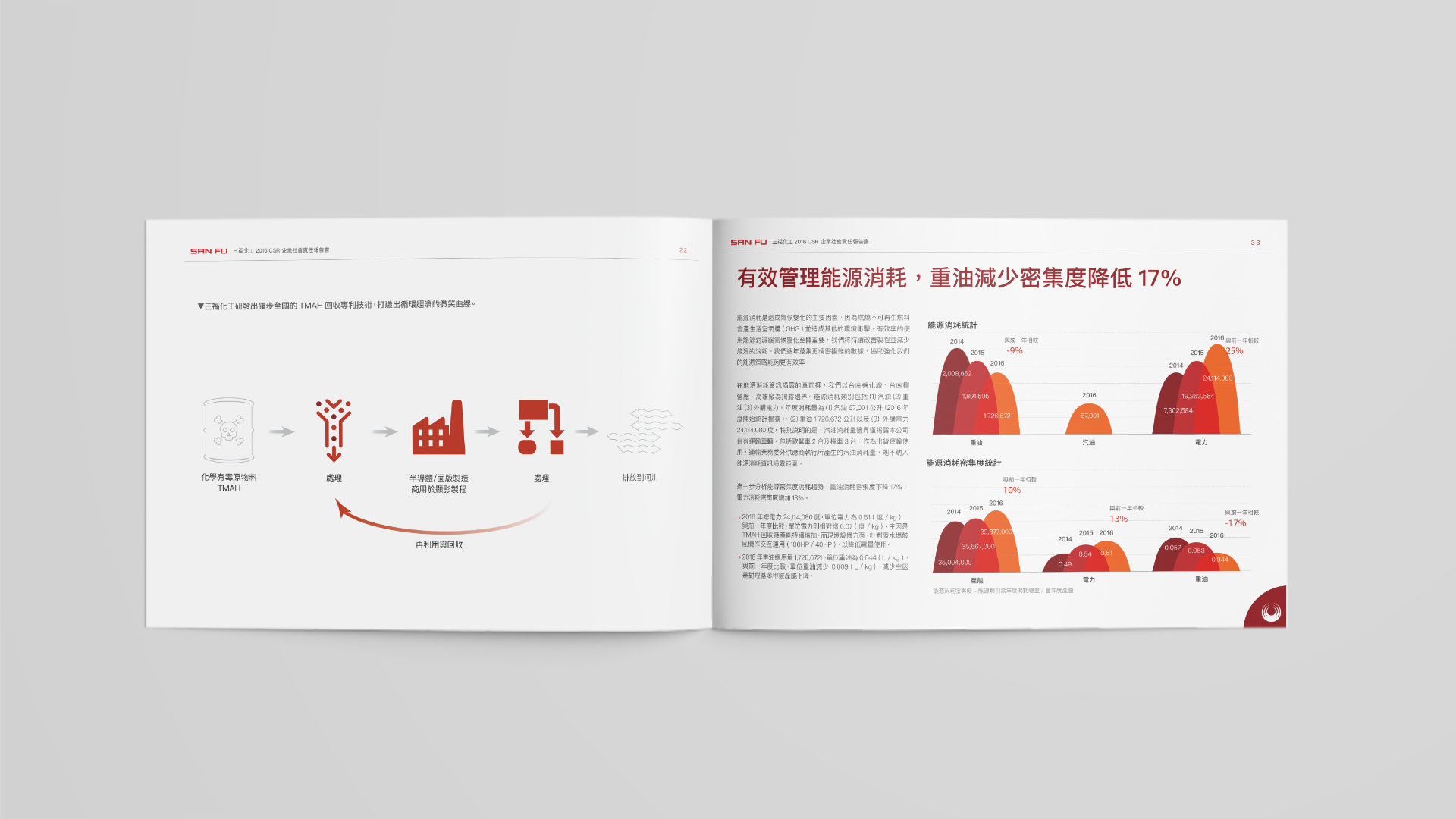 ESG Report Design for Public Company in Asia