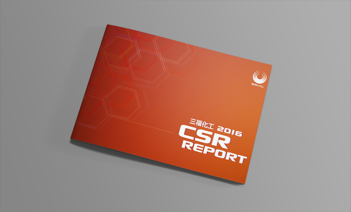 ESG Report Design for Public Company in Asia