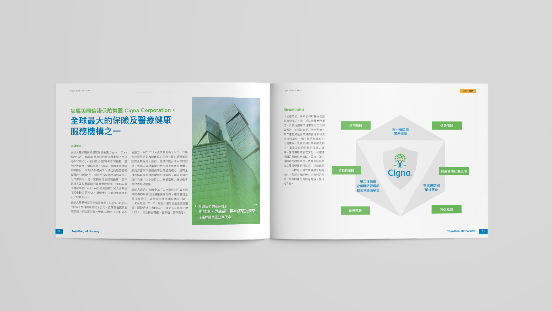 ESG Report Design for Public Company in Asia