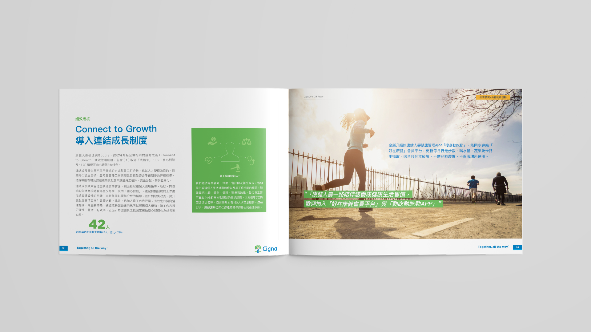 ESG Report Design for Public Company in Asia