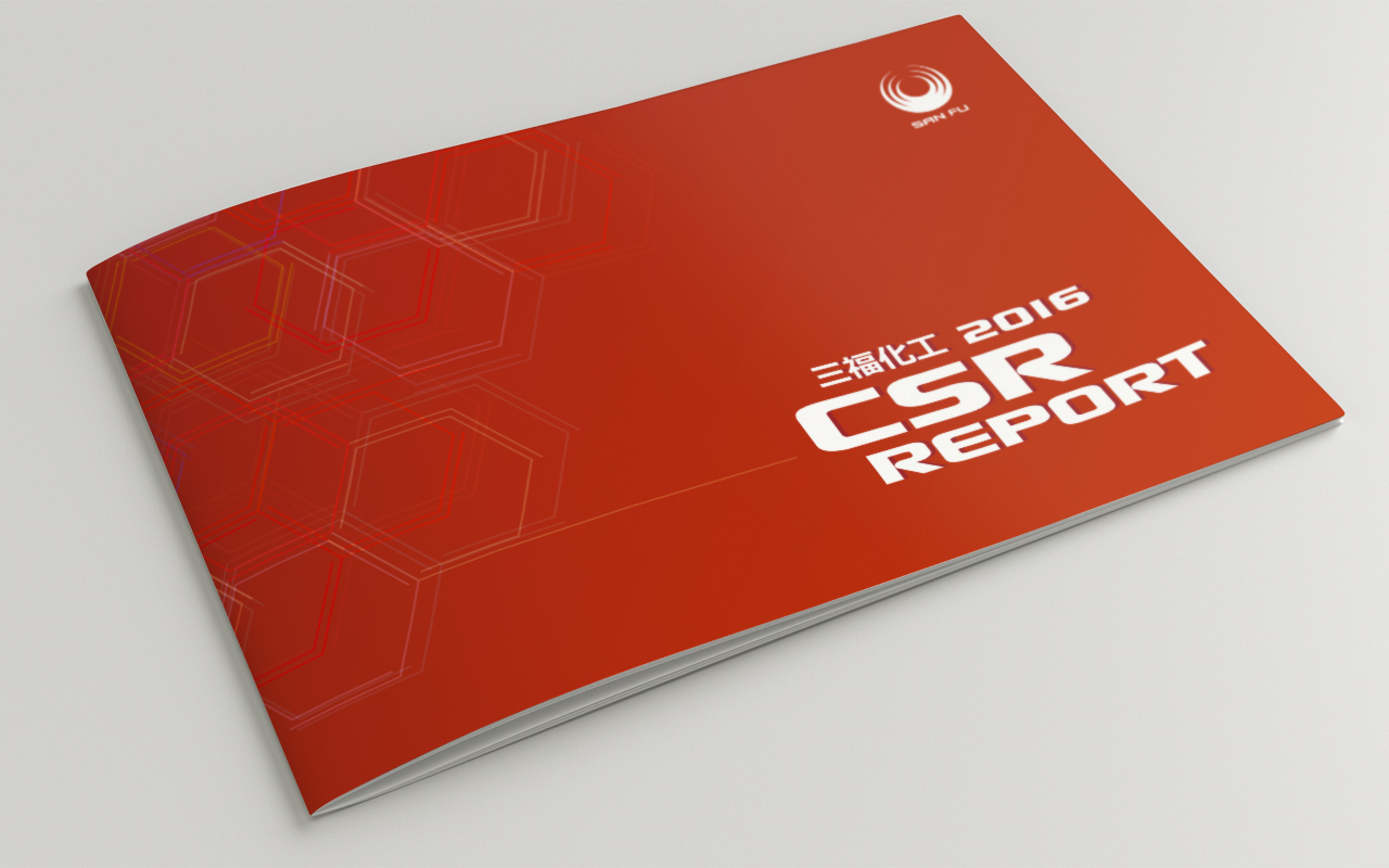 ESG Report Design for Public Company in Asia