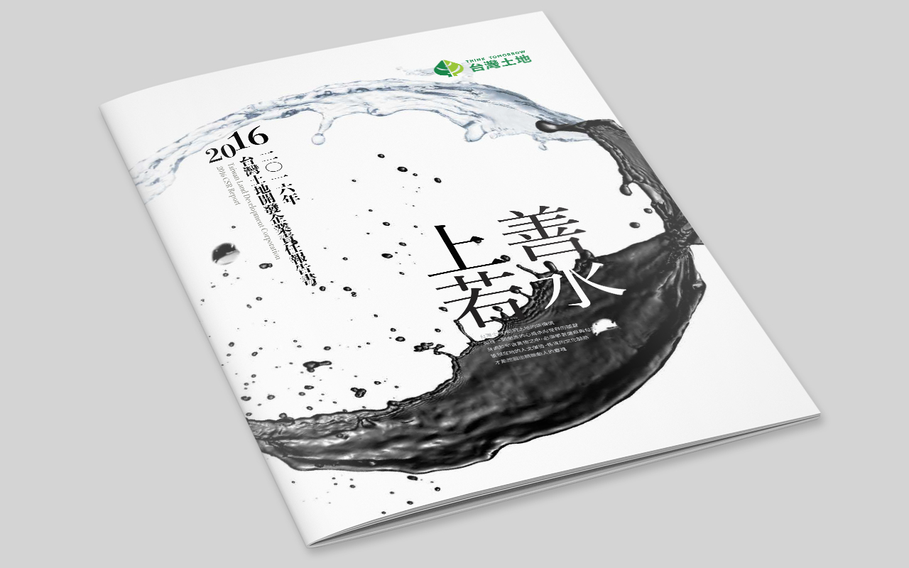 ESG Report Design for Public Company in Asia